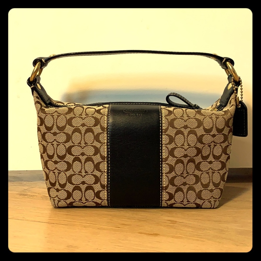 Coach Mini Hobo Bag
